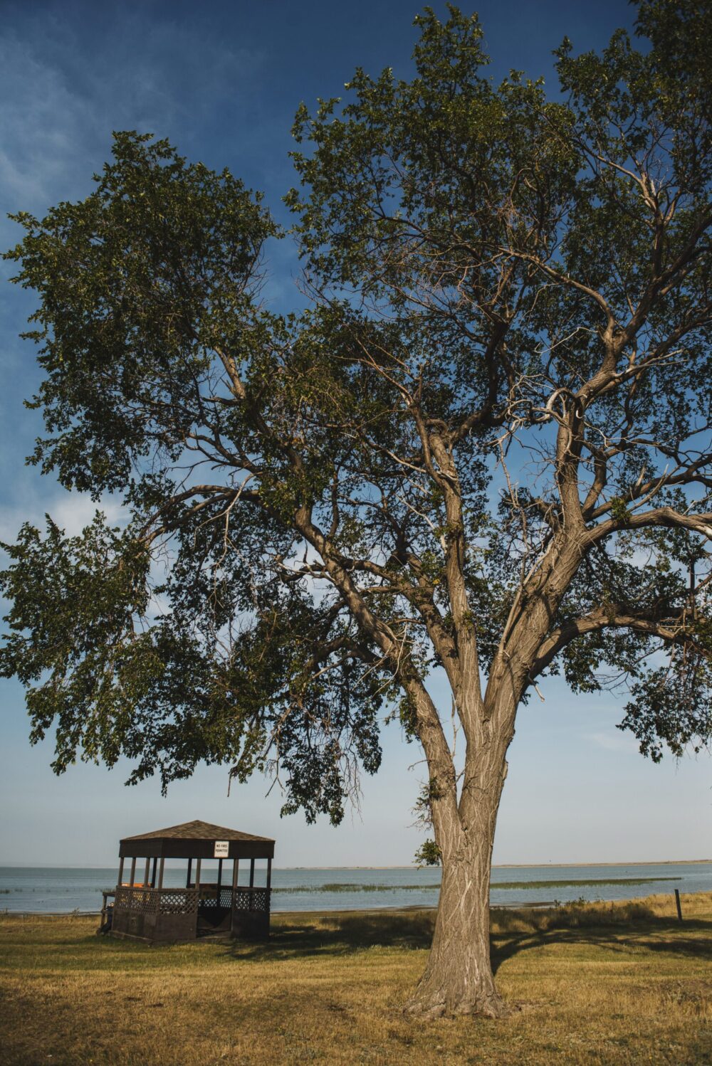 Town of Mossbank - Old Wives Lake Nature Area